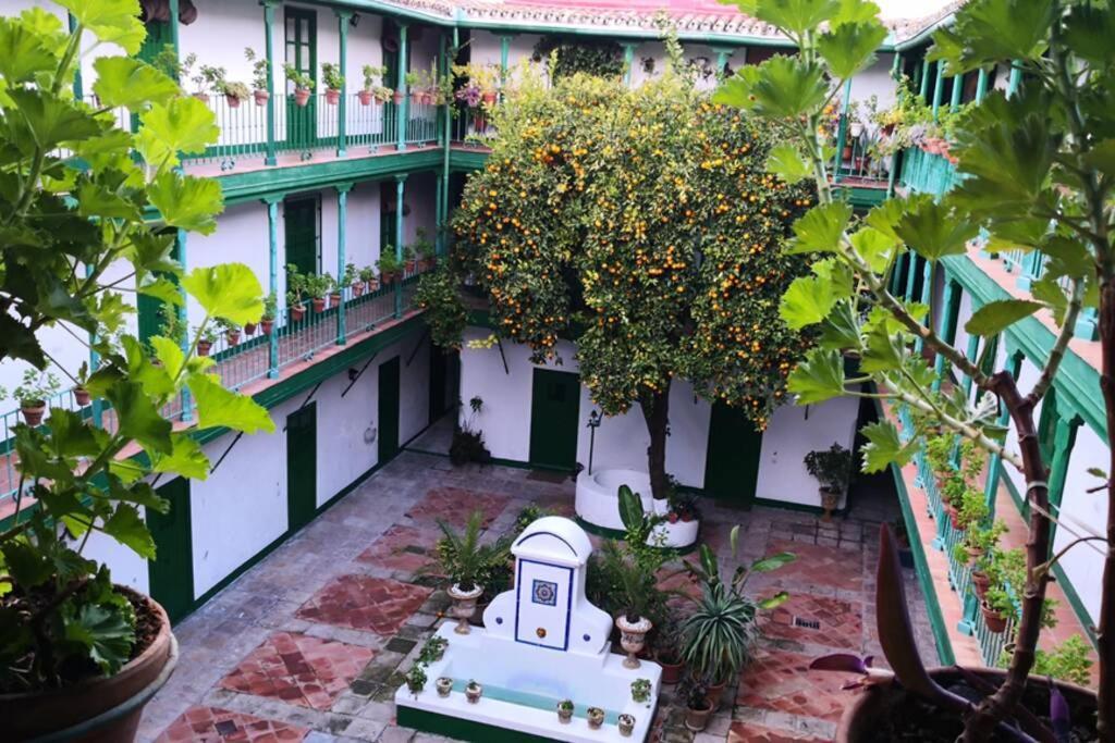Alcazares Sevilla Centro Ngoại thất bức ảnh